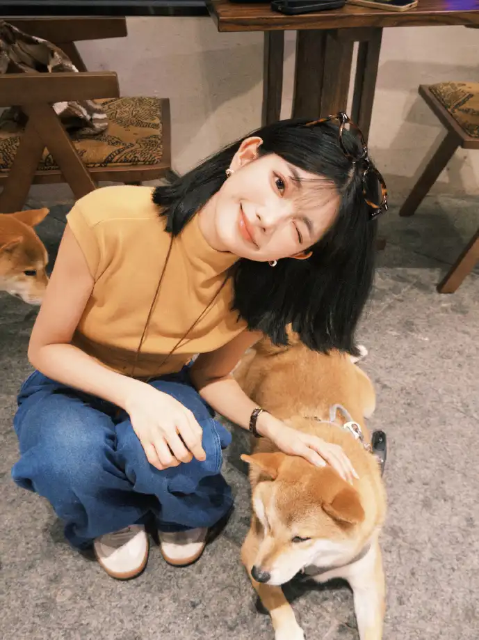 乐视网财务数据对比图